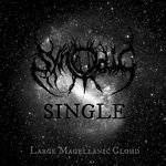 Synodic : The Large Magellanic Cloud